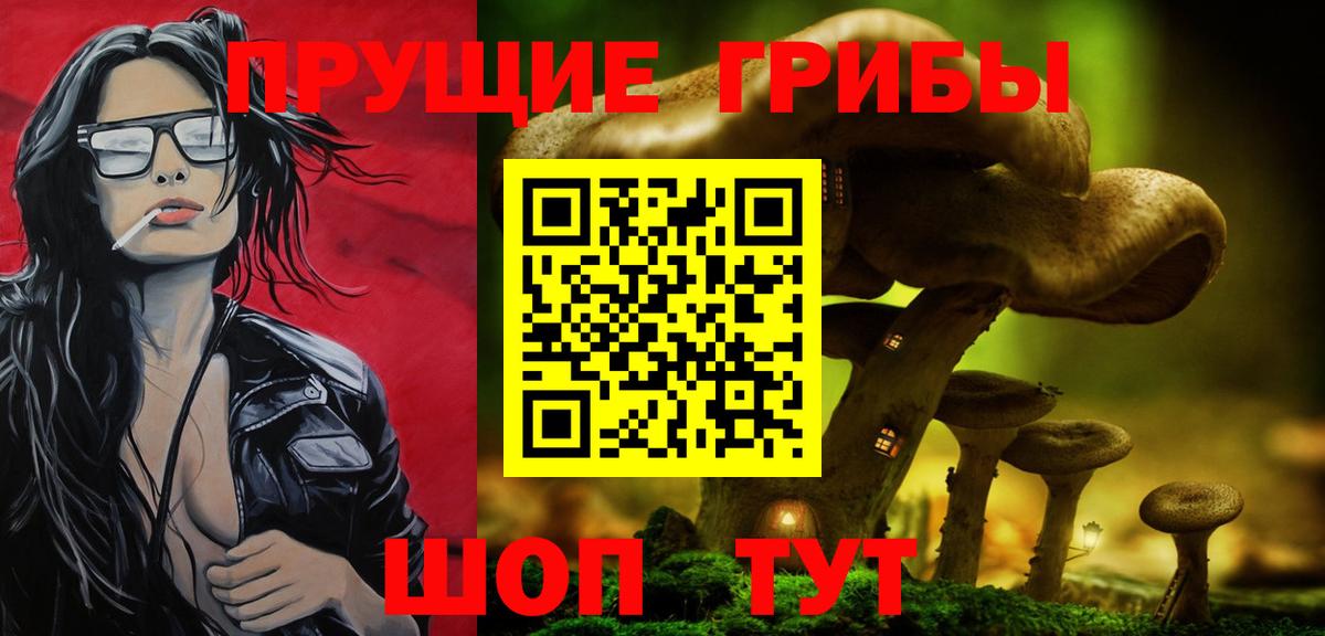 Сорочинск  Псилоцибиновые грибы Psilocybe  Псилоцибиновые грибы Psilocybine cubensis  Вход с VPN 