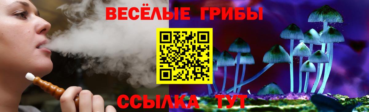 Псилоцибиновые грибы Magic Shrooms Сорочинск